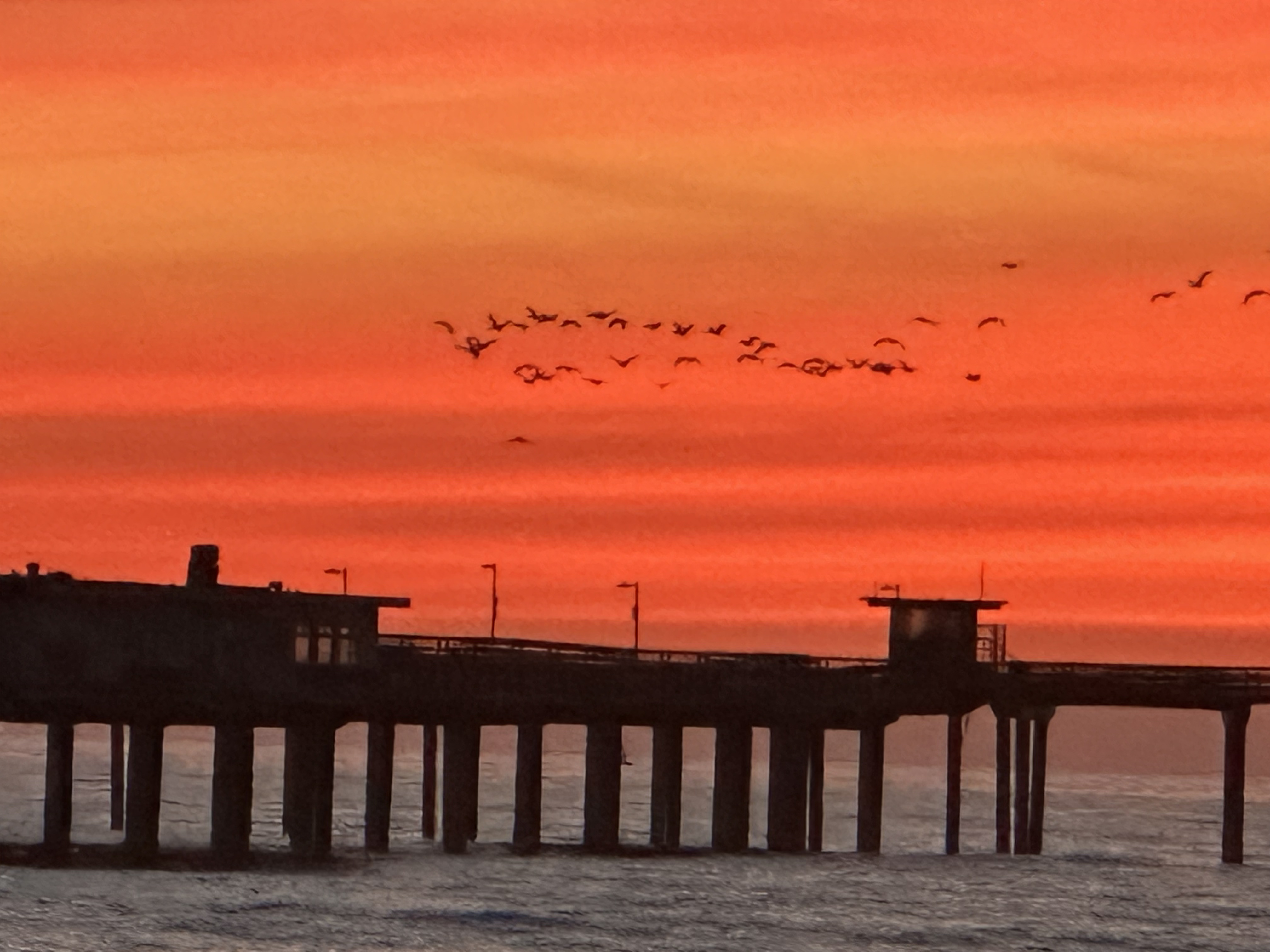 Beach sunset